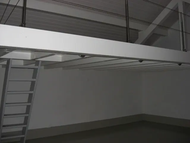 diseño