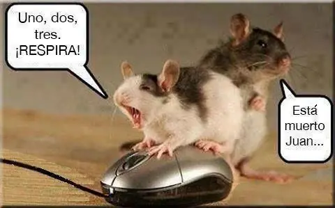 Especial Humor!