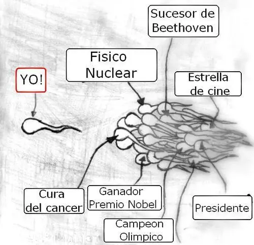 Especial Humor!