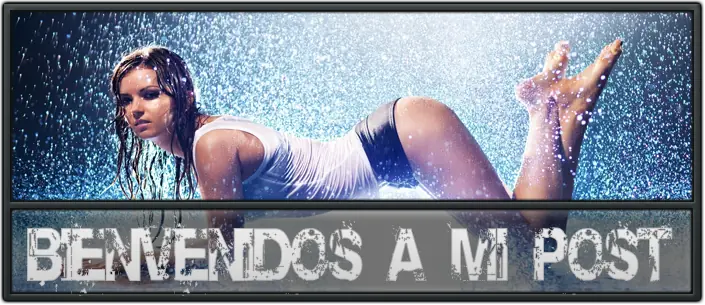 el maestro del anime se retira