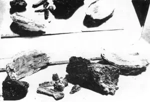 dinosaurios extintos?