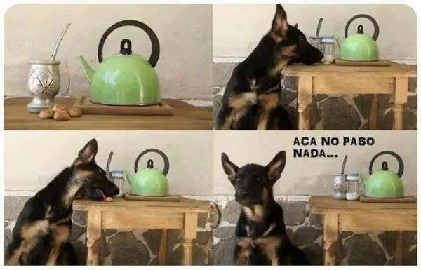 Cuando fb pretende ser gracioso....!    Y, una sonrisa te sa