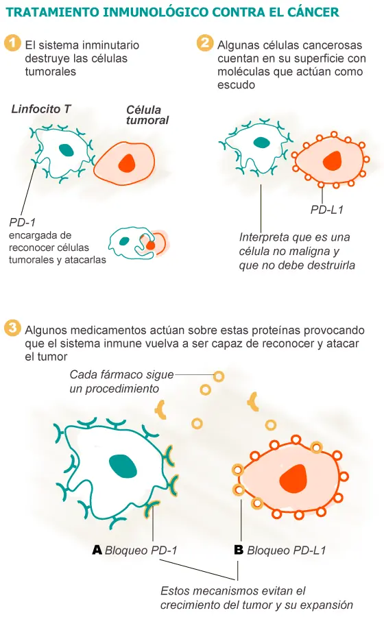 ciencia