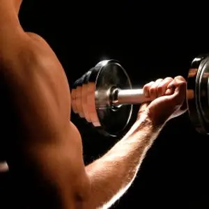 ¿ Queres ganar masa muscular rapidamente ? Entra aca