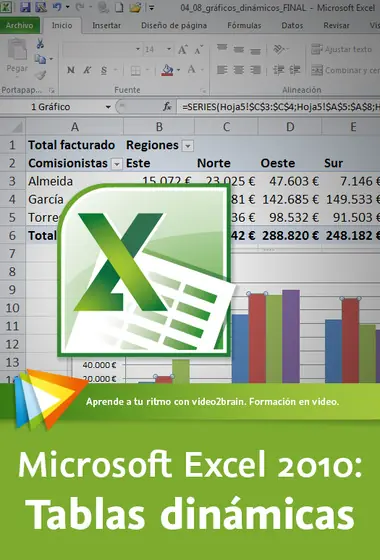 Microsoft Excel 2010 Profesional Avanzado