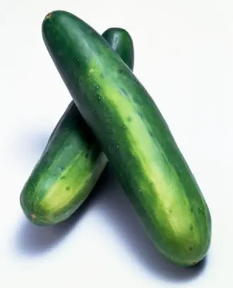 chatarra