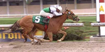 ¿Por qué .. ? (Megapost)