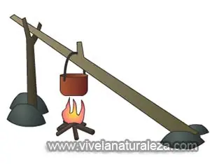 enseñan
