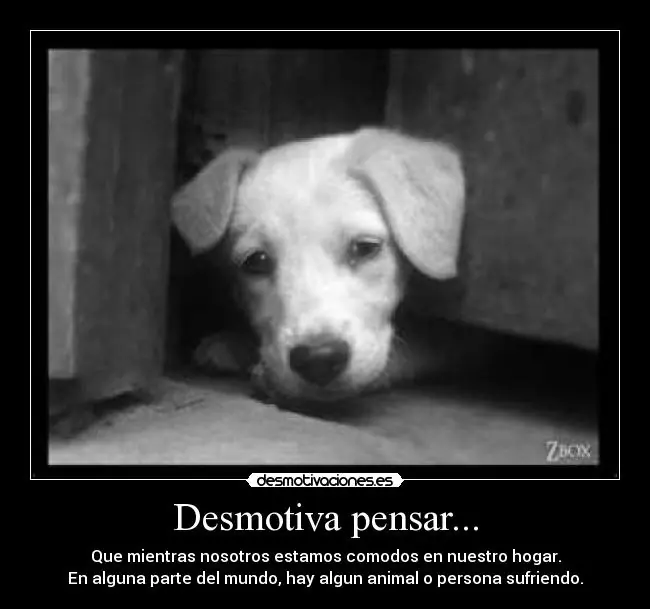 UN pco de desmotivaciones.es!!