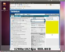 ubuntu 10.04