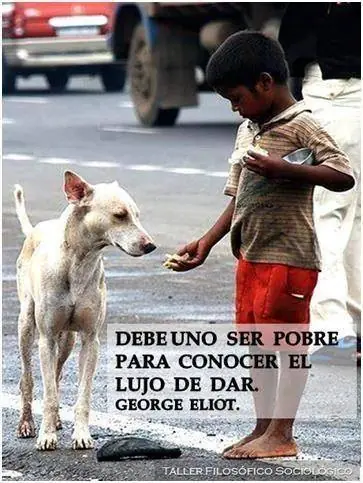 poesia