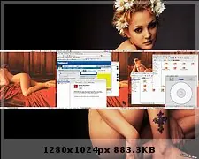 ubuntu 10.10