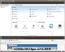 ubuntu 10.10