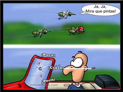 XD