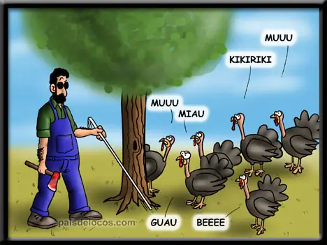 humor