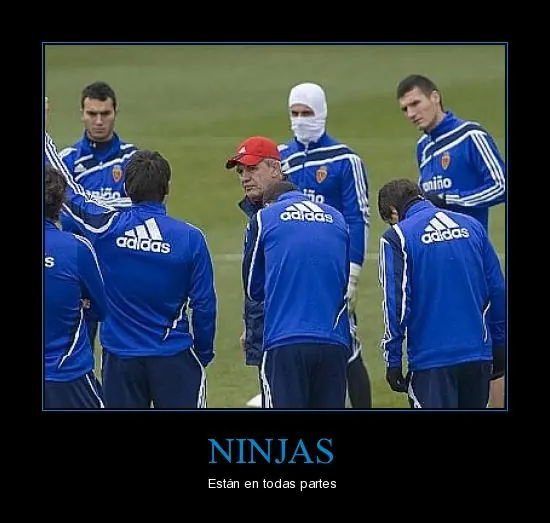 graciosas