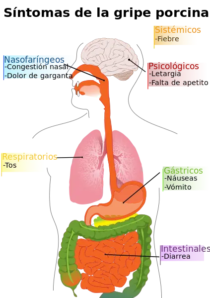 prevencion
