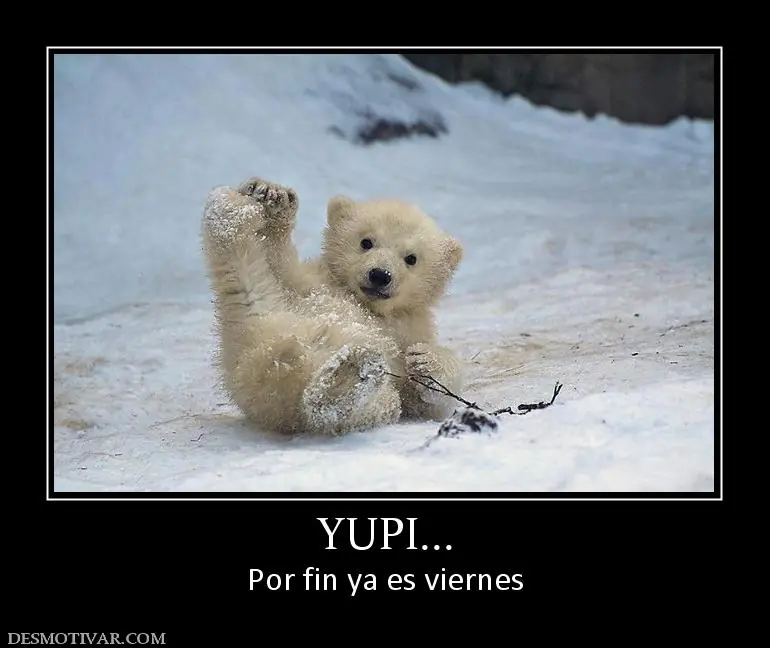 Por fin viernes