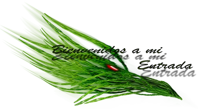 El tema de los post "ciencia vs religión"