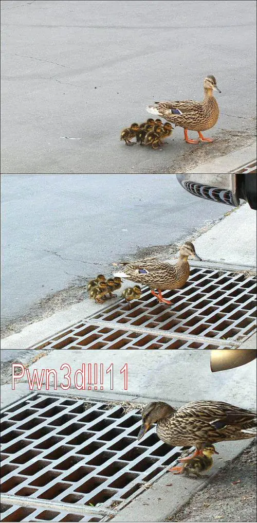 humor