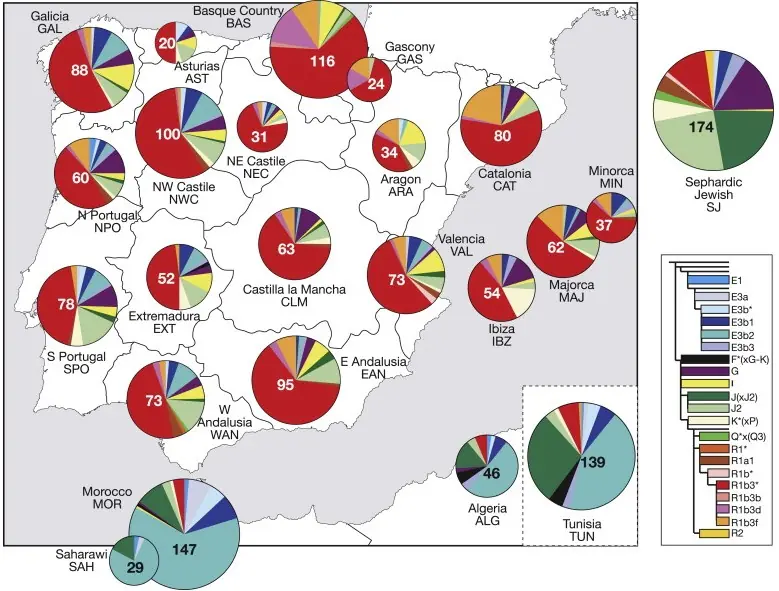 Mapa genético de Europa y de España en particular