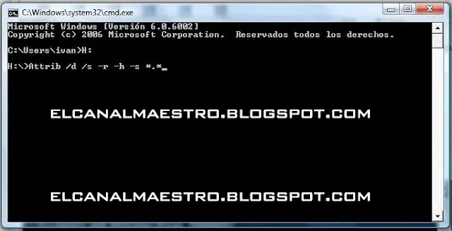 borrar virus