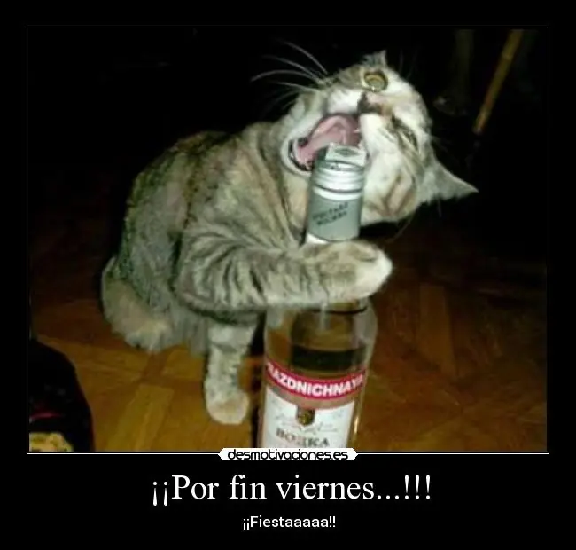 viernes por fin