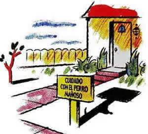 Grafico