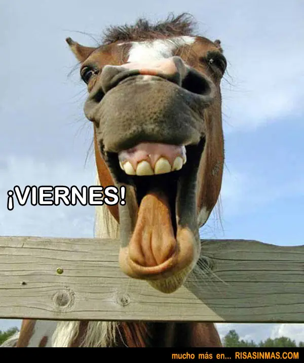 fin de semana