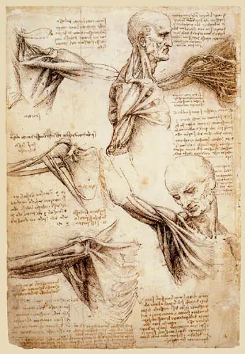 Leonardo Da Vinci