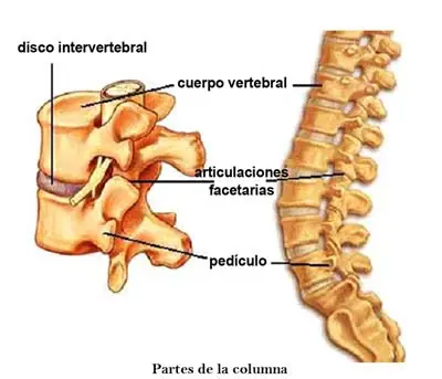 curiosidades