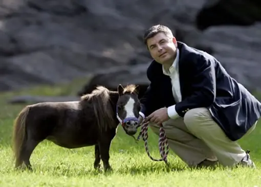 los animales mas pequeños del mundo