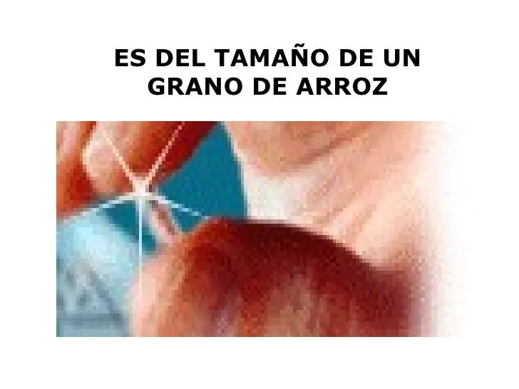 ciencia