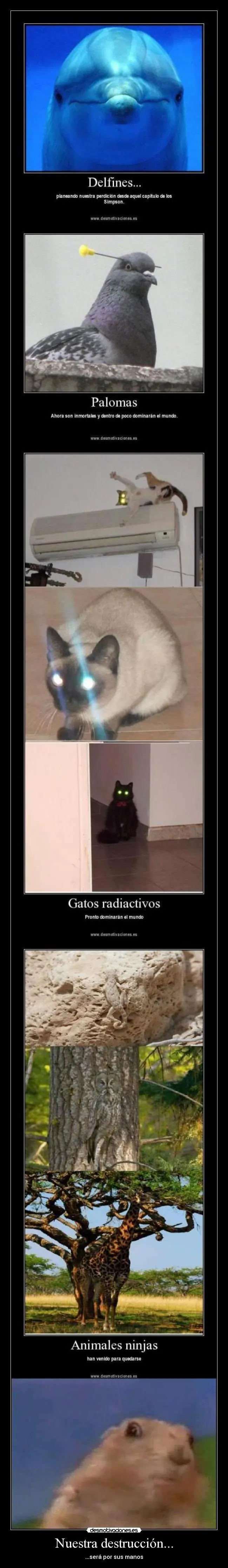 negro