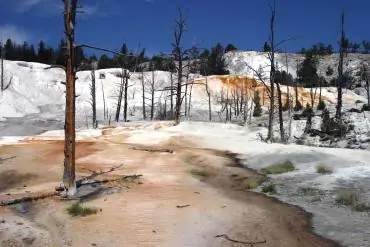 Parques Nacionales de Estados Unidos: Yellowstone