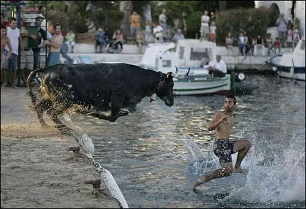 imagenes