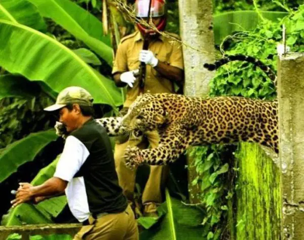 Fotos tomadas en el momento exacto + Yapa