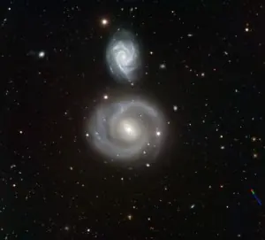 cosmos