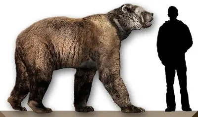 La especie prehistórica sudamericana «de cara corta»: El
