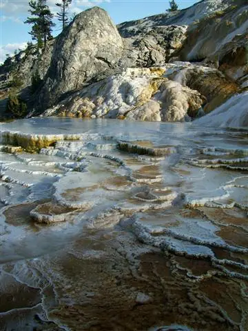 Parques Nacionales de Estados Unidos: Yellowstone