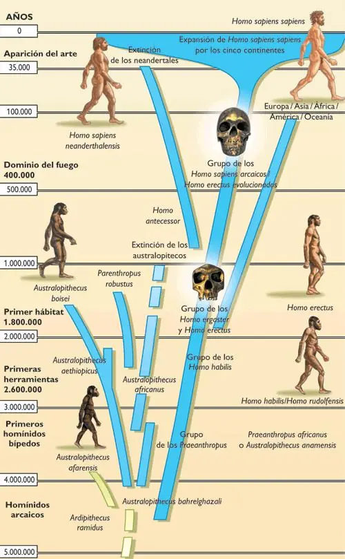 darwin