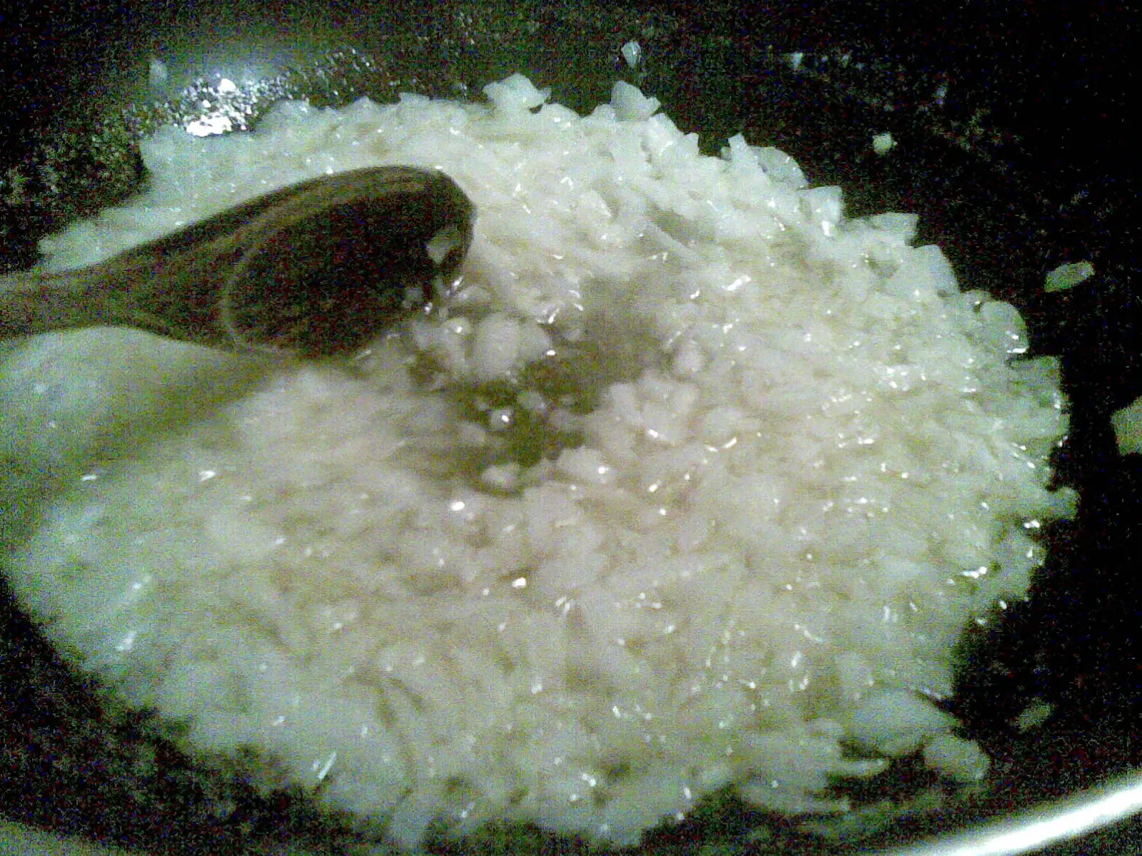 Pollo