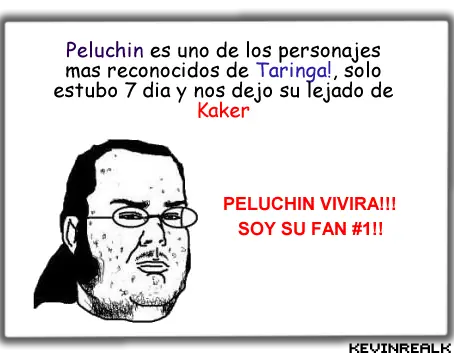 Taringa! segun los Memes