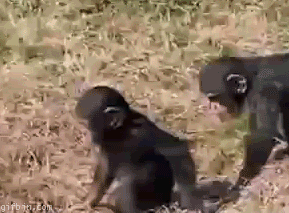 egoismo