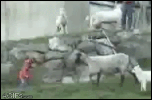 risas