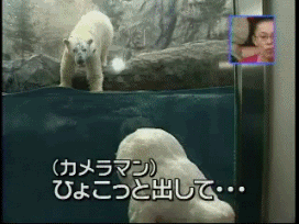 egoismo