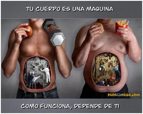 y cuidar