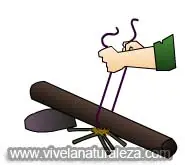 supervivencia