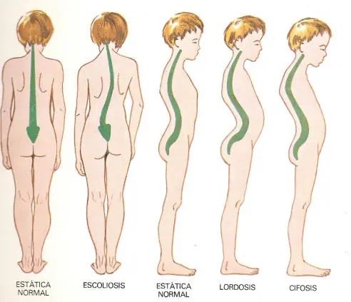 traumatologia