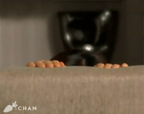 10 preguntas que no debes hacerle a un gay.